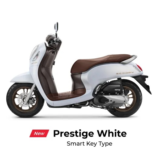 Scoopy 2023 Prestige white